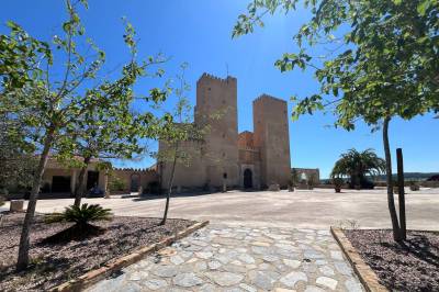 Vastgoed_San_Miguel_10_original