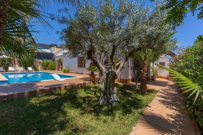 Punta_prima_te_koop_8_original