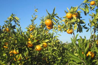 Costa_Blanca_woningen_5_original