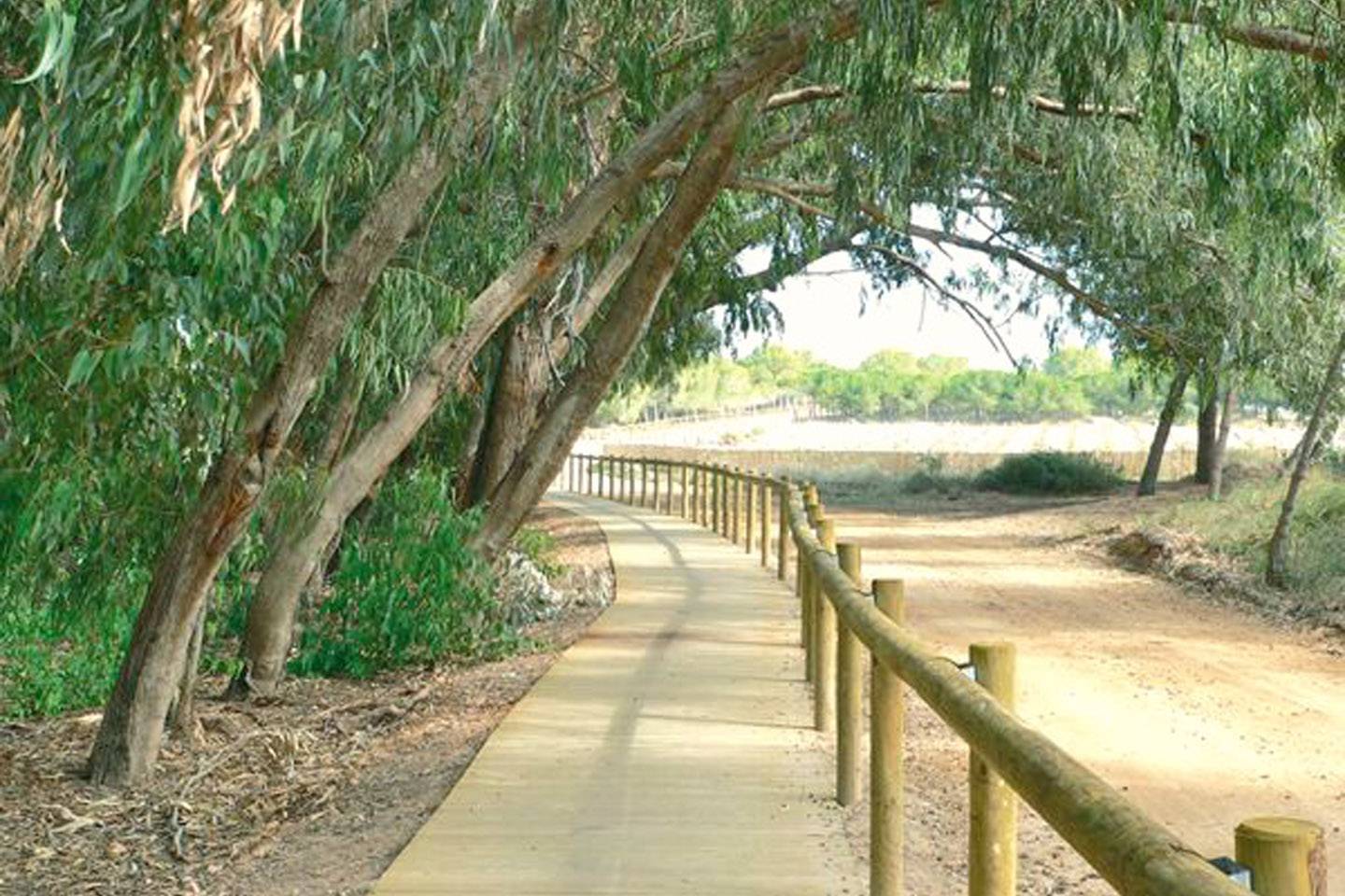 beachfront_appartement_te_koop_La_Mata_Torrevieja_17_original