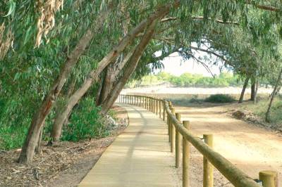 beachfront_appartement_te_koop_La_Mata_Torrevieja_17_original