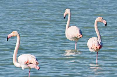 investeren_costa_blanca_vastgoed_4_original