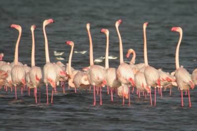 instapklare-woning-te-koop-Costa-Blanca-Spanje_24_original