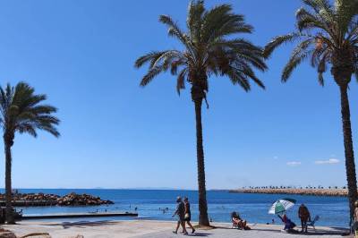 Stranden_Torrevieja_thumb image Stranden_Torrevieja_original