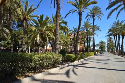 San_pedro_vastgoed_costa_calida_15_original