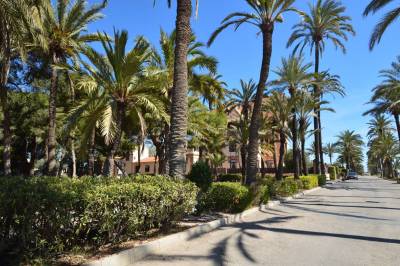 Villas_in_San_Pedro_2_original