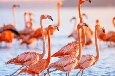 Spaanse-koopwoningen-aan-zee_1_original