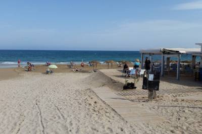 mil-palmeras-costa-blanca-beach_original